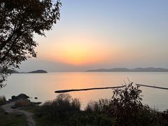 -上海市保健医疗中心