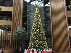-上海滴水湖皇冠假日酒店