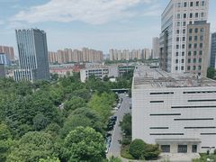 -金沙湖公园