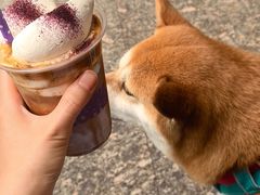 -HANA COFFEE(长寿路店)