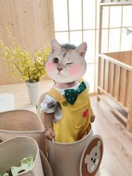 -玛瑞莎·儿童·亲子摄影(越秀店)