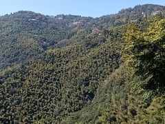 -莫干山风景区