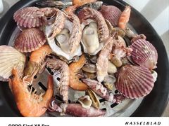 -大锅强·蒸海鲜青岛菜(吾悦广场店)