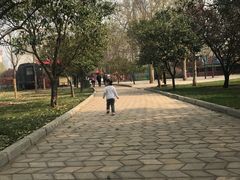 -百年味道炝锅面(通泰路店)