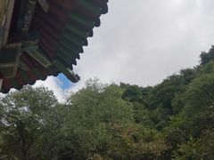 -王顺山国家森林公园
