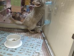 -鹏欣水游城