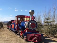 -永定河休闲森林公园