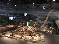 -自贡恐龙博物馆