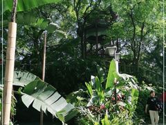 -乌山风景区