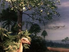 -贝林大翅鲸简餐厅(国家海洋博物馆店)