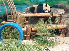 -杭州动物园