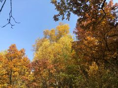 -白草畔自然风景区