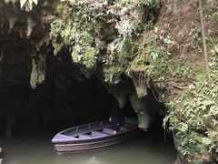 -怀托摩萤火虫洞