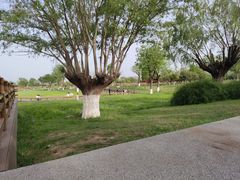 -汉长安城未央宫国家考古遗址公园