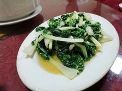 清炒小白菜-安堂海鲜餐厅(安堂商业街店)