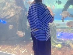 -石家庄海洋公园