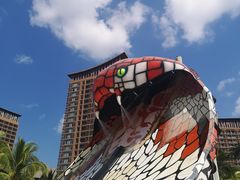 -亚马逊丛林水乐园