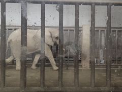 -保定市动物园