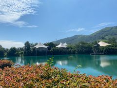 -帐篷客·溪龙茶谷度假酒店