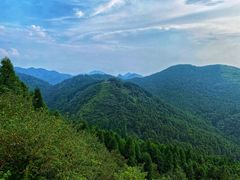 -武陵山森林公园