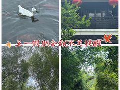 -南山风景名胜区