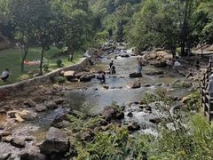 -广州白江湖森林公园