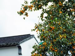 -北寺塔