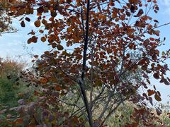 -龙洞风景区-藏龙涧