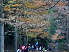 -四明山国家森林公园