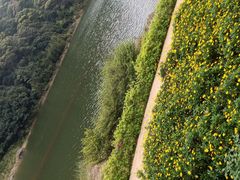 -广州市石门国家森林公园