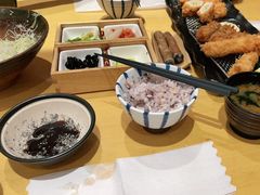 -胜博殿日式炸猪排(西红门店)