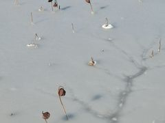 -天津东丽湖风景区