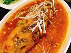 -陈麻婆豆腐总店