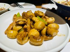-波螺油子·海肠捞饭·青岛菜(银座店)