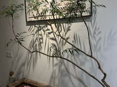 -茶肆(仙林店)