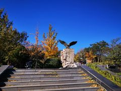 -北京鹫峰国家森林公园