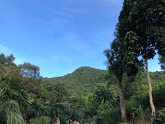 -深圳仙湖植物园
