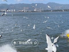 -海埂大坝