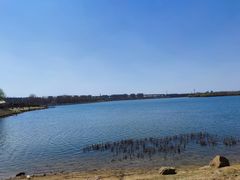 -丁香湖公园