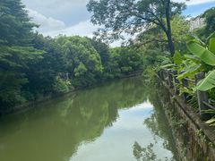 -晓港公园