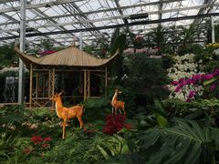 -兰陵国家农业公园