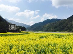 -新安江山水画廊风景区