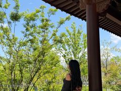 -江心屿景区