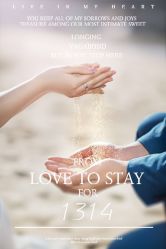 点击看大图 -巴黎春天·菀纱仙庭婚纱美学