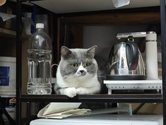 -不作·手工银饰DIY(西红门店)