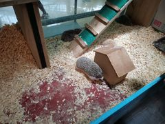 -正佳雨林生态植物园