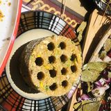 小院里走起[调皮]