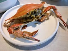 -开海·红岛海鲜虾水饺(石老人店)