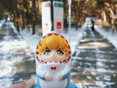 -帽儿山国家森林公园