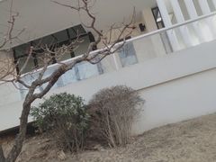 -乐三里屯面馆(阿那亚店)